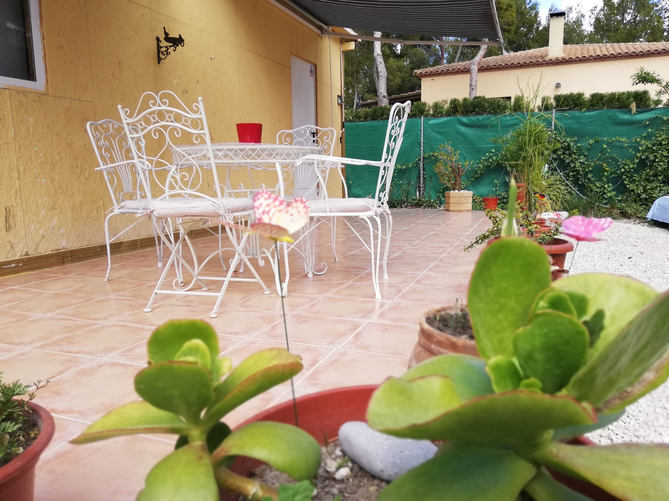 Terraza